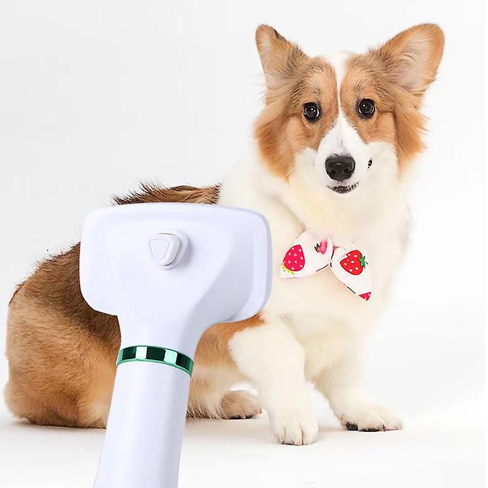 2-in-1 Dog Hair Dryer Brush